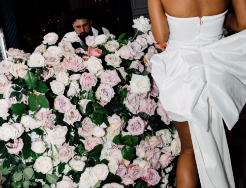 Videographer vs. Content Creator